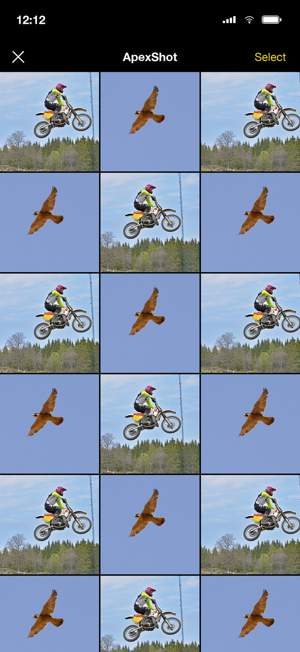 The ApexShot gallery of sharp keepers