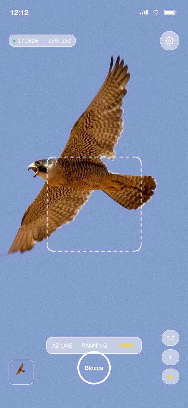 Trap Focus di ApexShot armato su un falco in volo