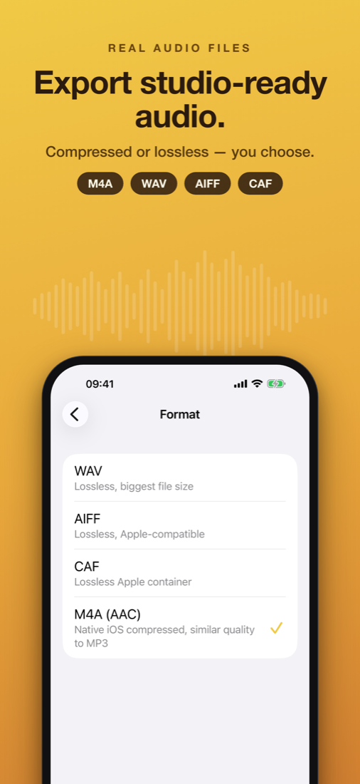 Export formats screen